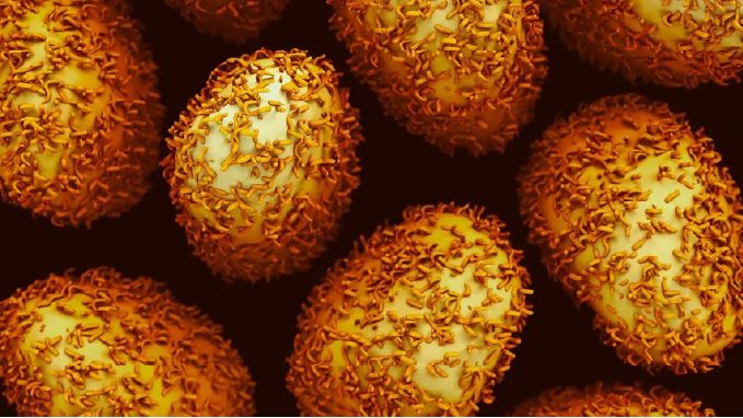 Iksuda Therapeutics received clearance to begin clinical testing of its CA242-directed ADC in gastrointestinal cancers